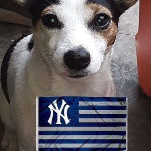 Meet your Posher, Rogeriro